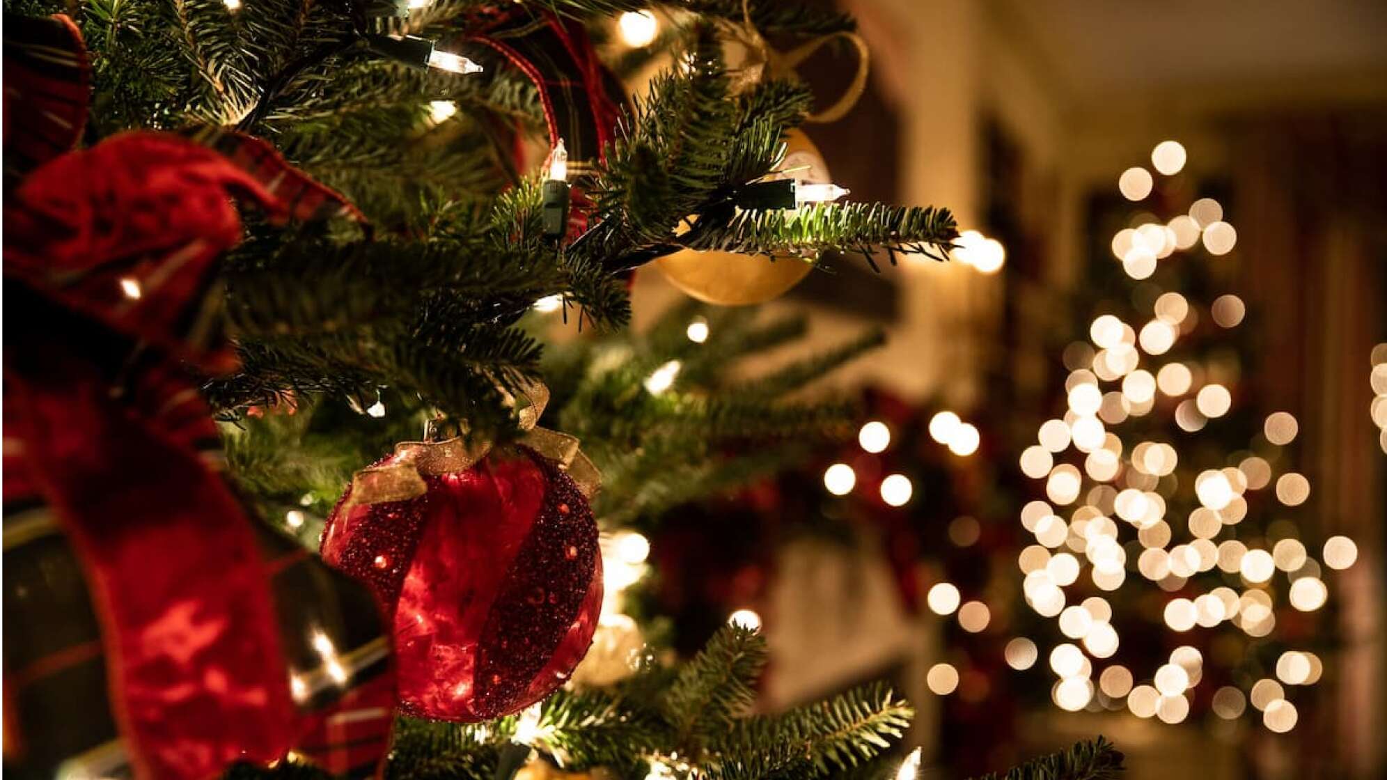 Nahaufnahme von einem, Christbaum