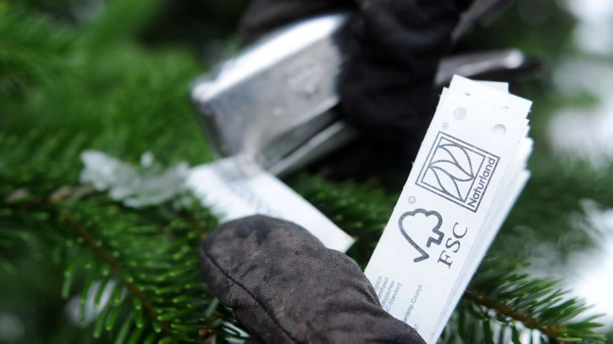 Nachhaltiges Weihnachten: Die besten Tipps