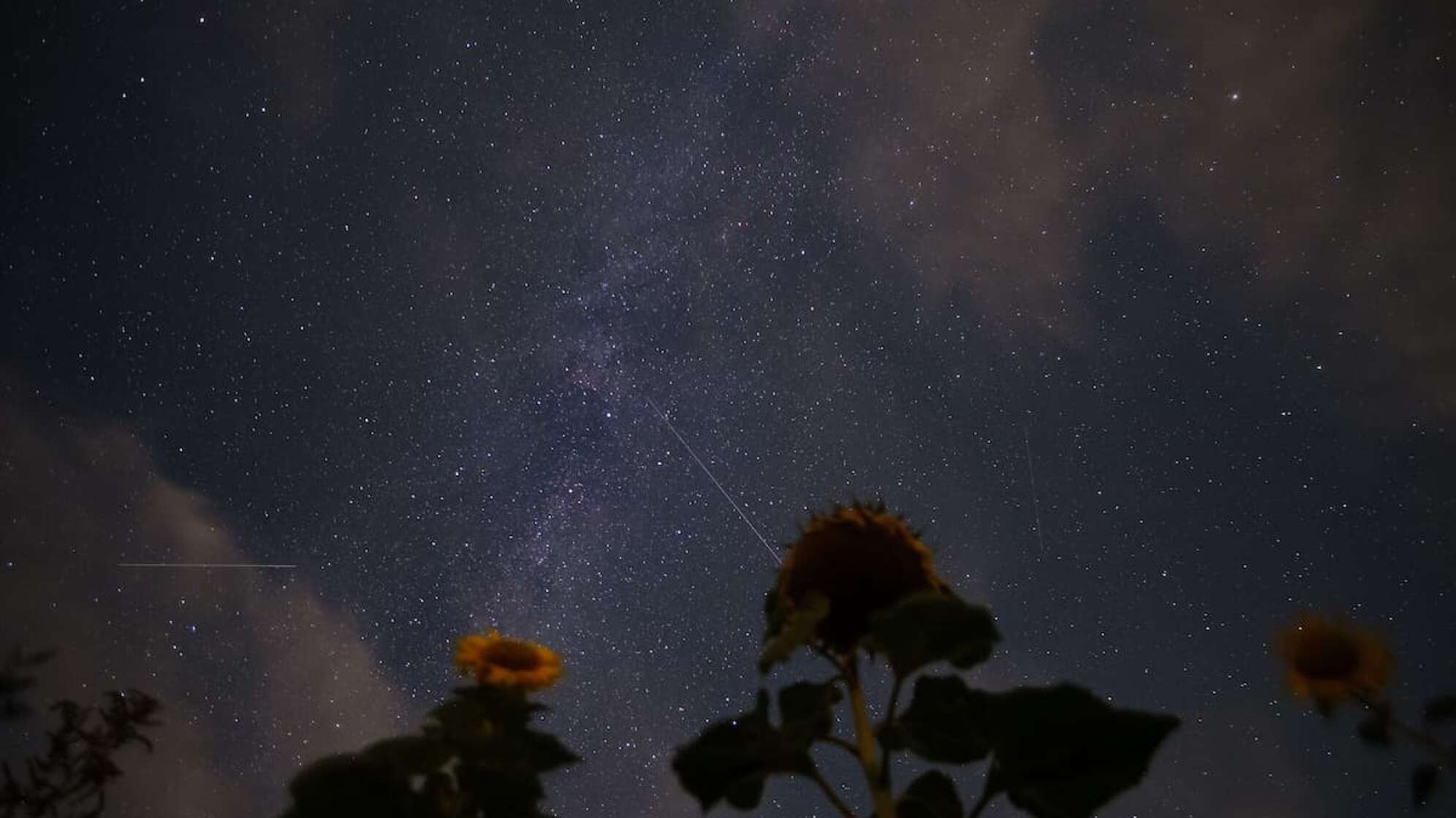 Sternenhimmel mit Sternschnuppen