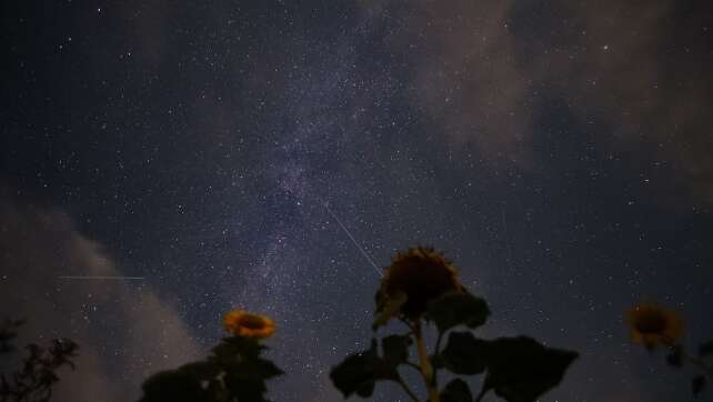 Romantischer Himmel über Bayern: Wann ihr die Sternschnuppen am besten sehen könnt