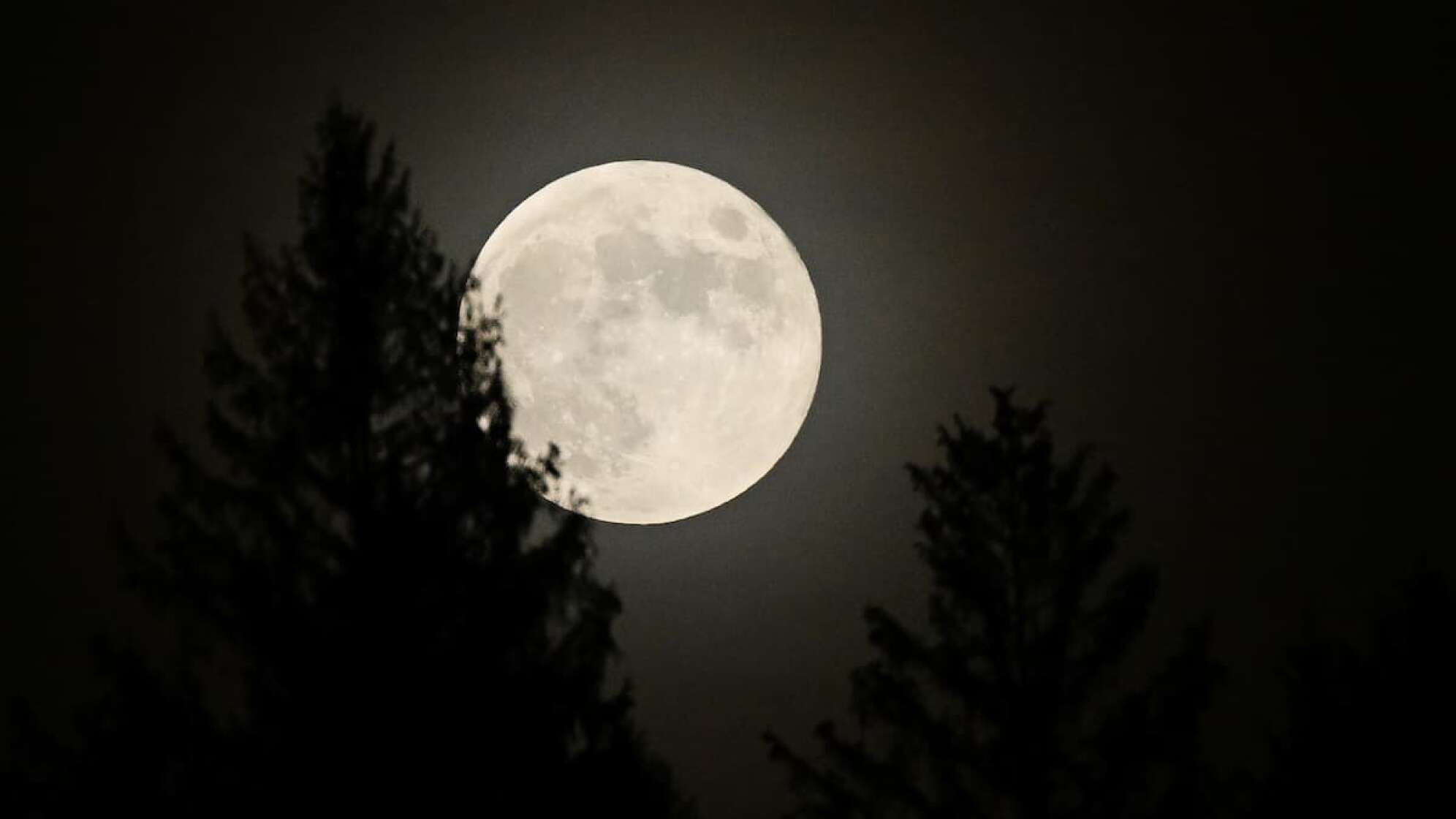 Vollmond