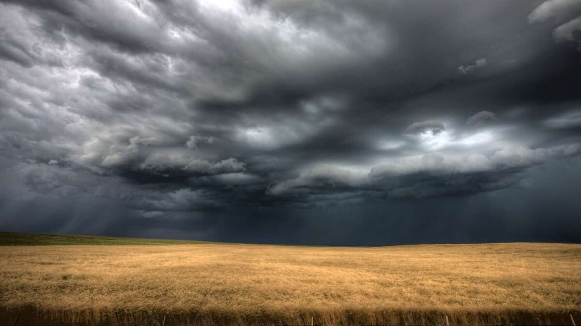 Graue Gewitterwolken über Kornfeld