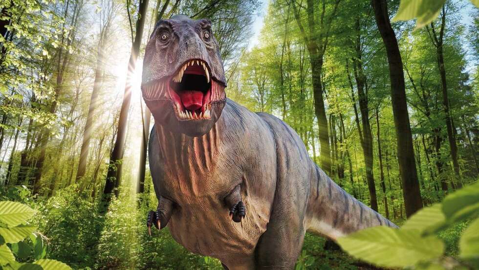 Dino Museum