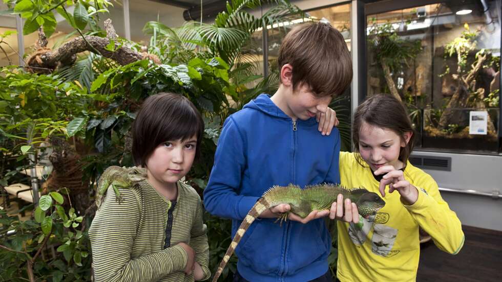 Kinder mit Reptilien
