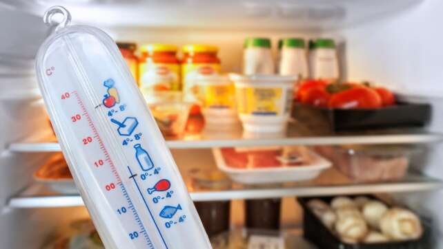 Welche Lebensmittel gehören in den Kühlschrank? Besonders bei Hitze!