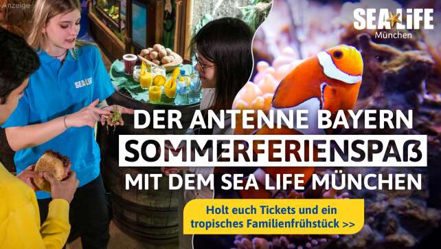 Der ANTENNE BAYERN Sommerferienspaß mit dem SEA LIFE München