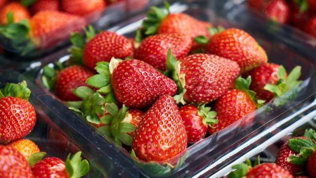 So solltet ihr Erdbeeren wirklich waschen