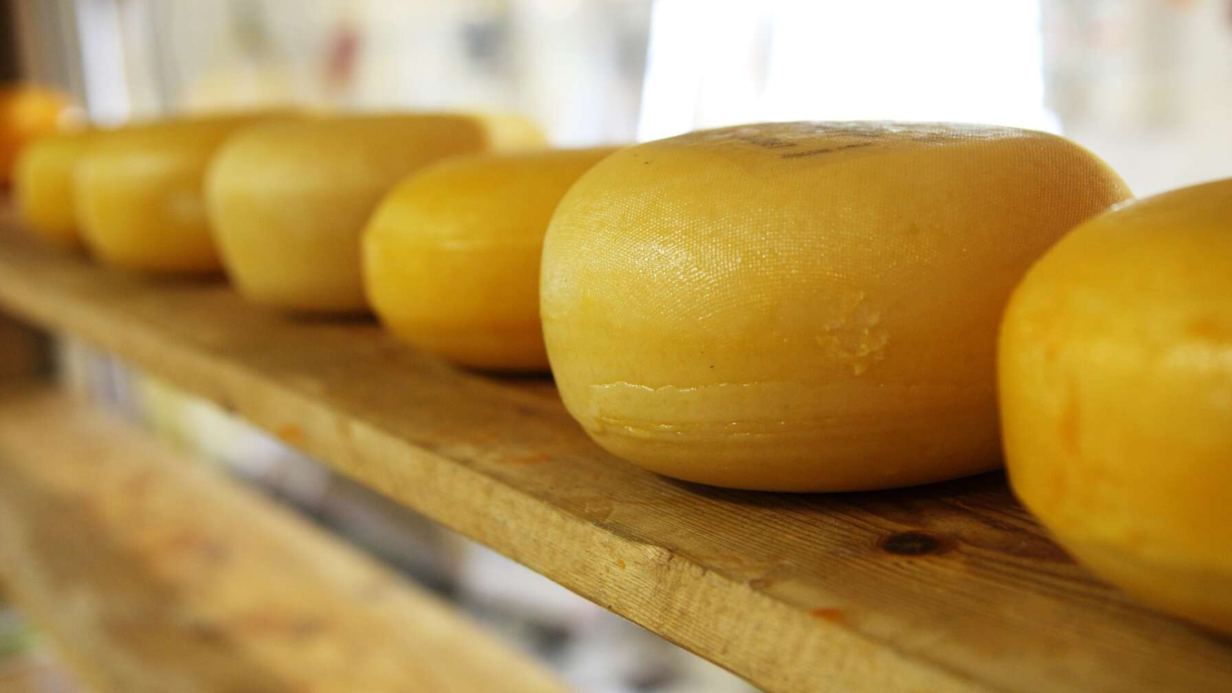Milbenkäse