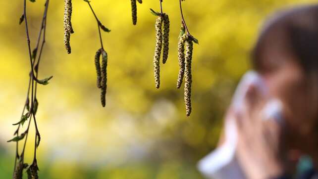 Neuer Heuschnupfen-Helfer: Hier sehen Allergiker in Echtzeit, welche Pollen fliegen