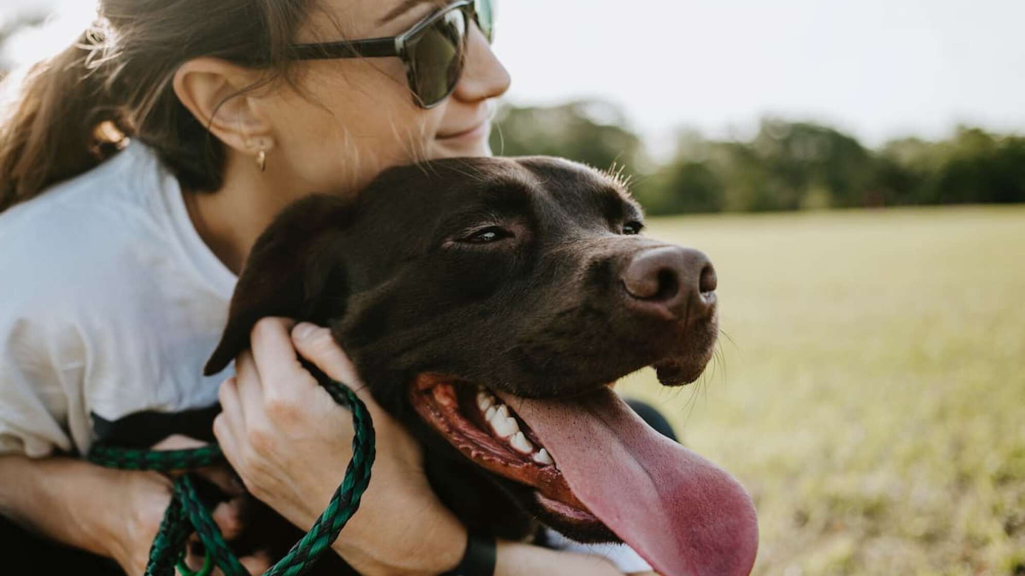 Frau mit ihrem Hund auf der Wiese