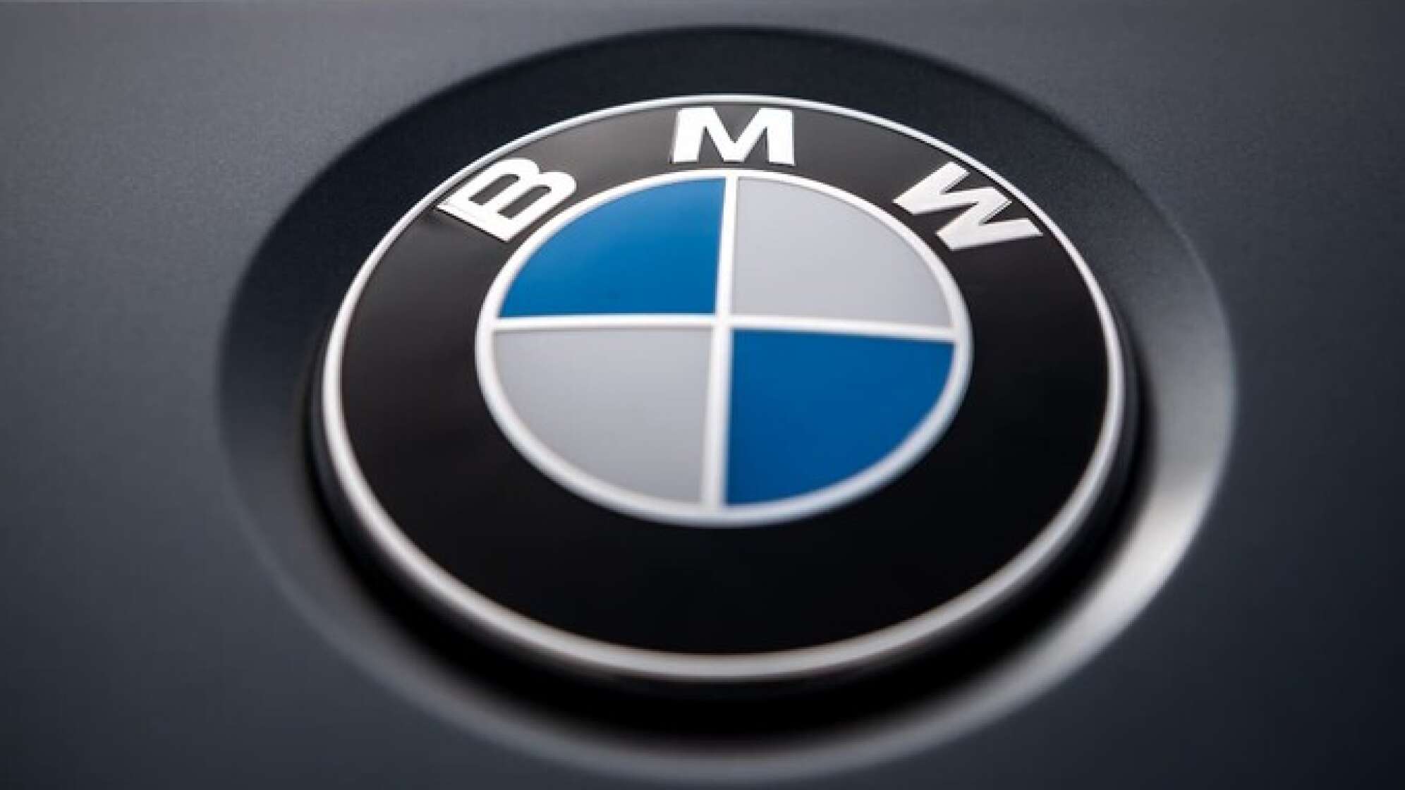 Das Logo von BMW.