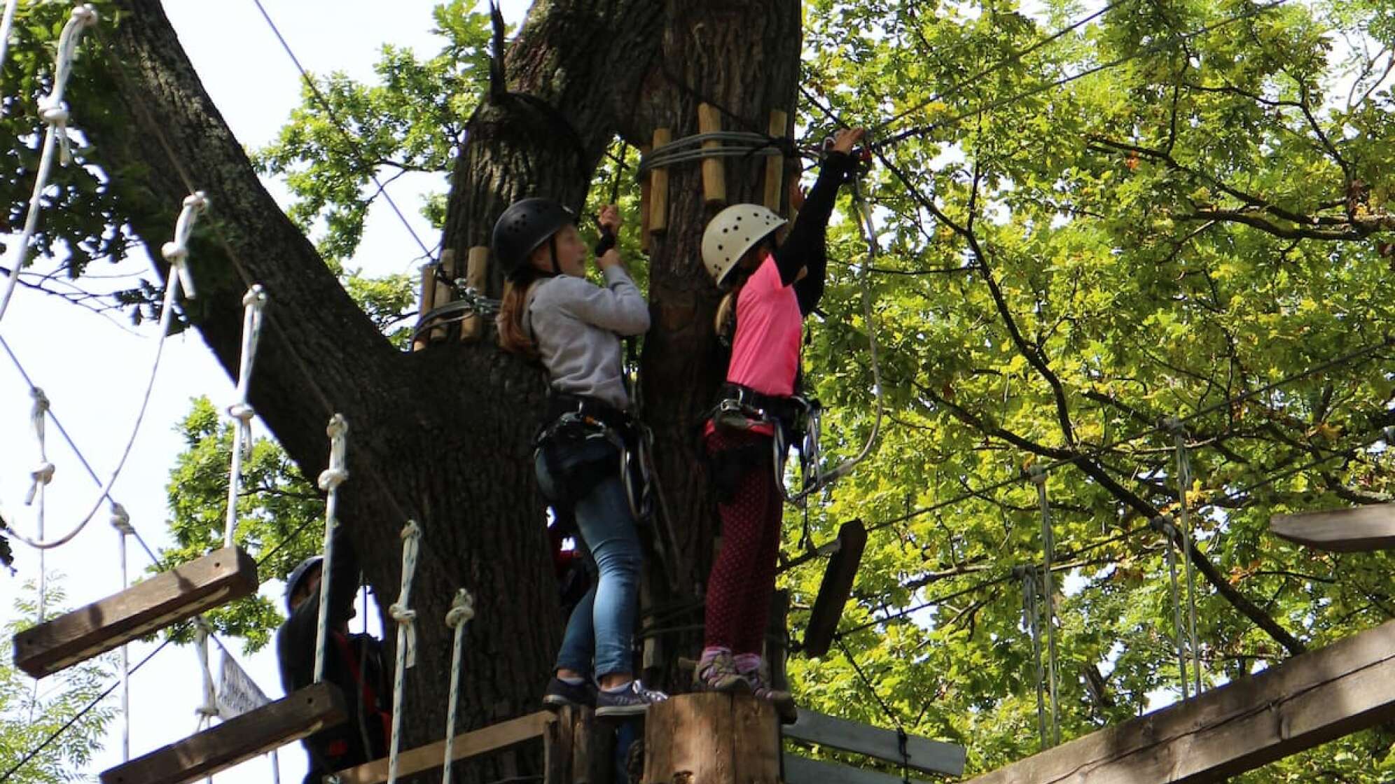 Kinder im Kletterpark