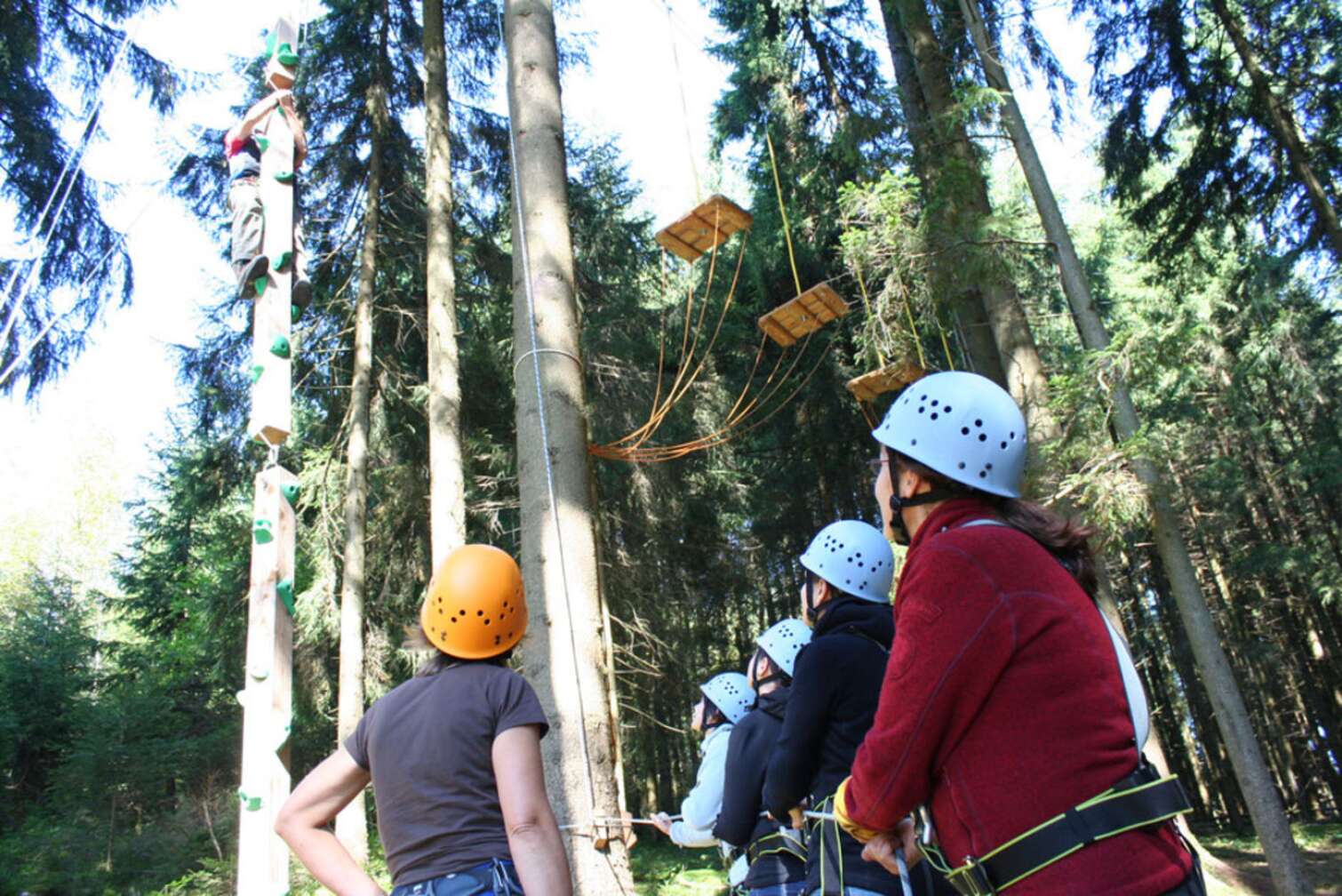 Waldseilgarten