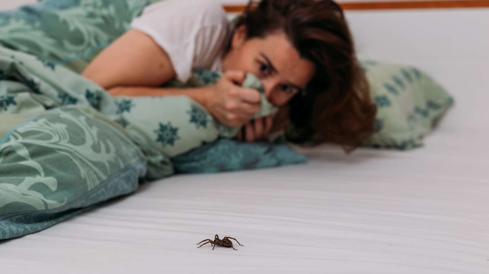 Frau im Bett mit Spinne