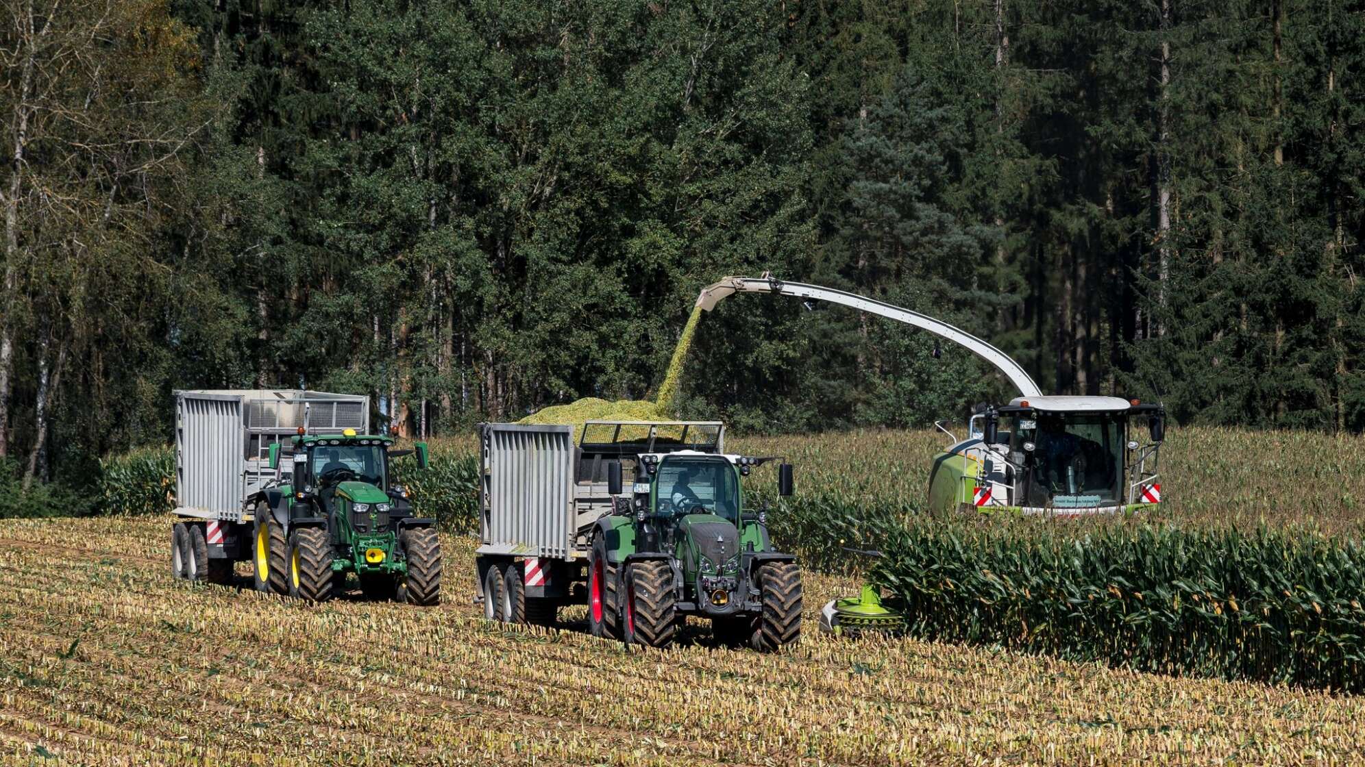 Maisernte in Bayern