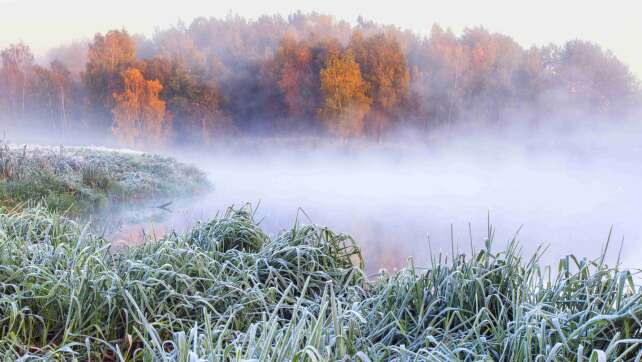 Winterreifen? Temperatursturz in Bayern erwartet