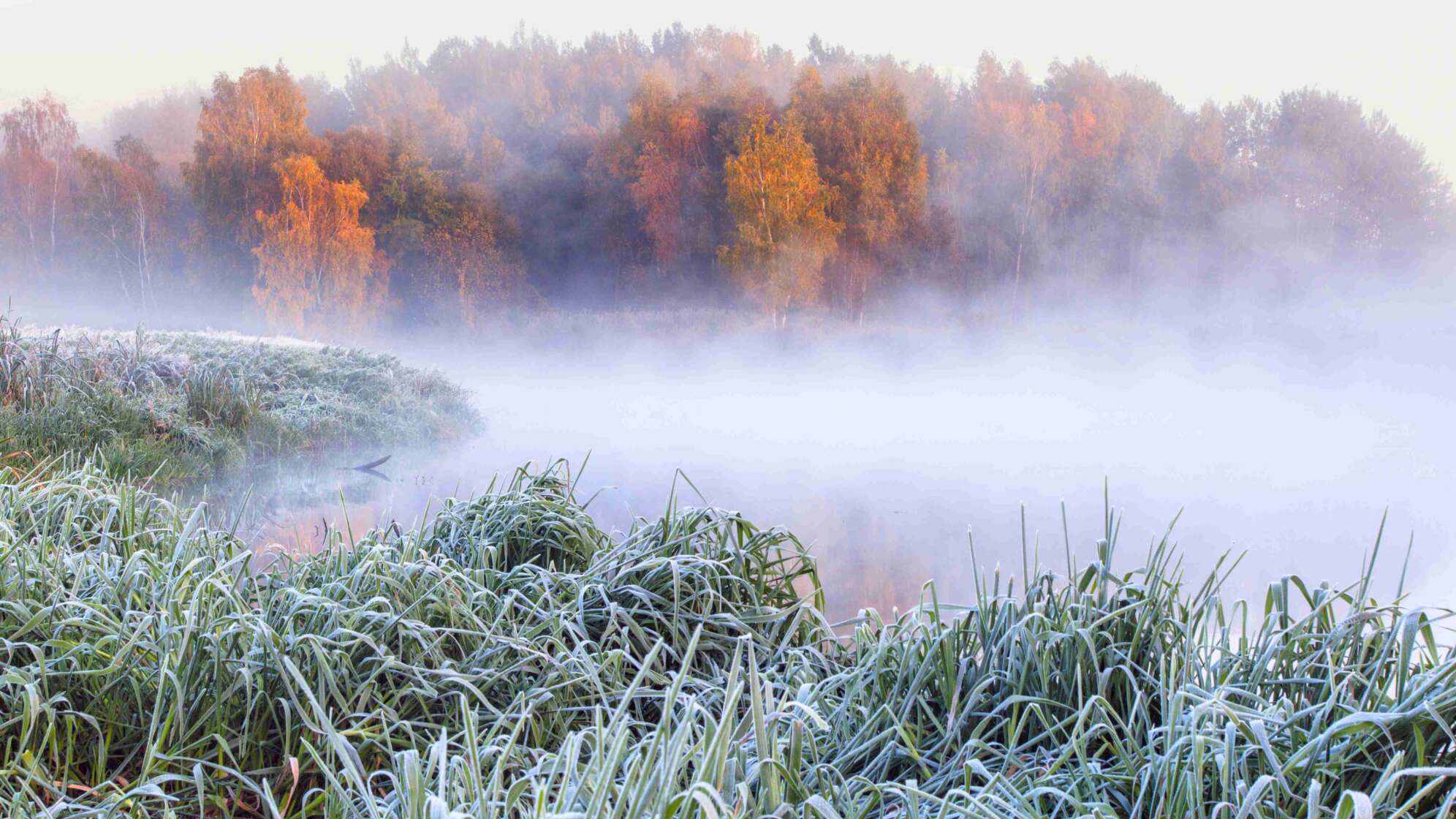 Frost im Herbst