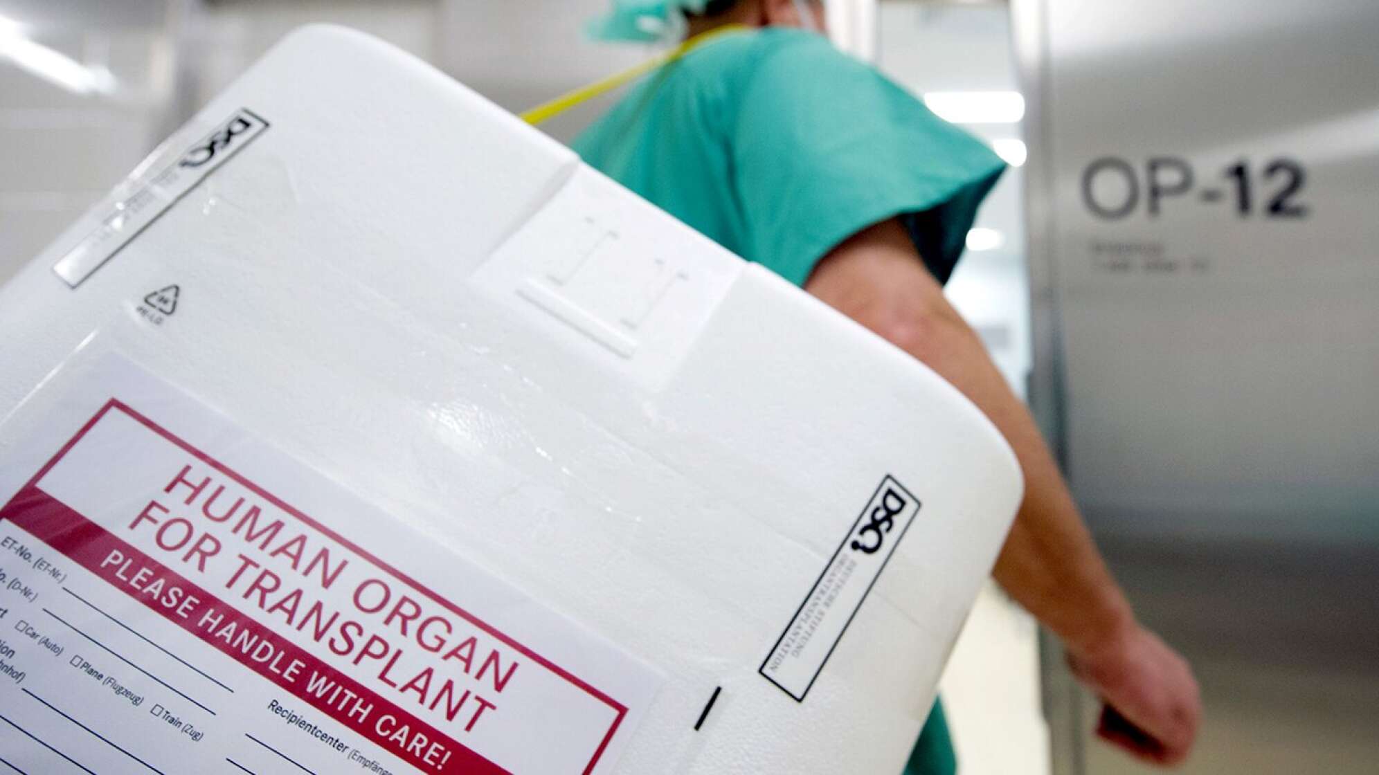 Der Transport eines Organes zur Transplantation