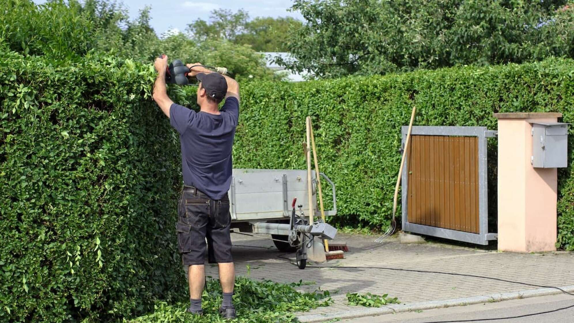 Ein Gärtner, der eine Hecke schneidet