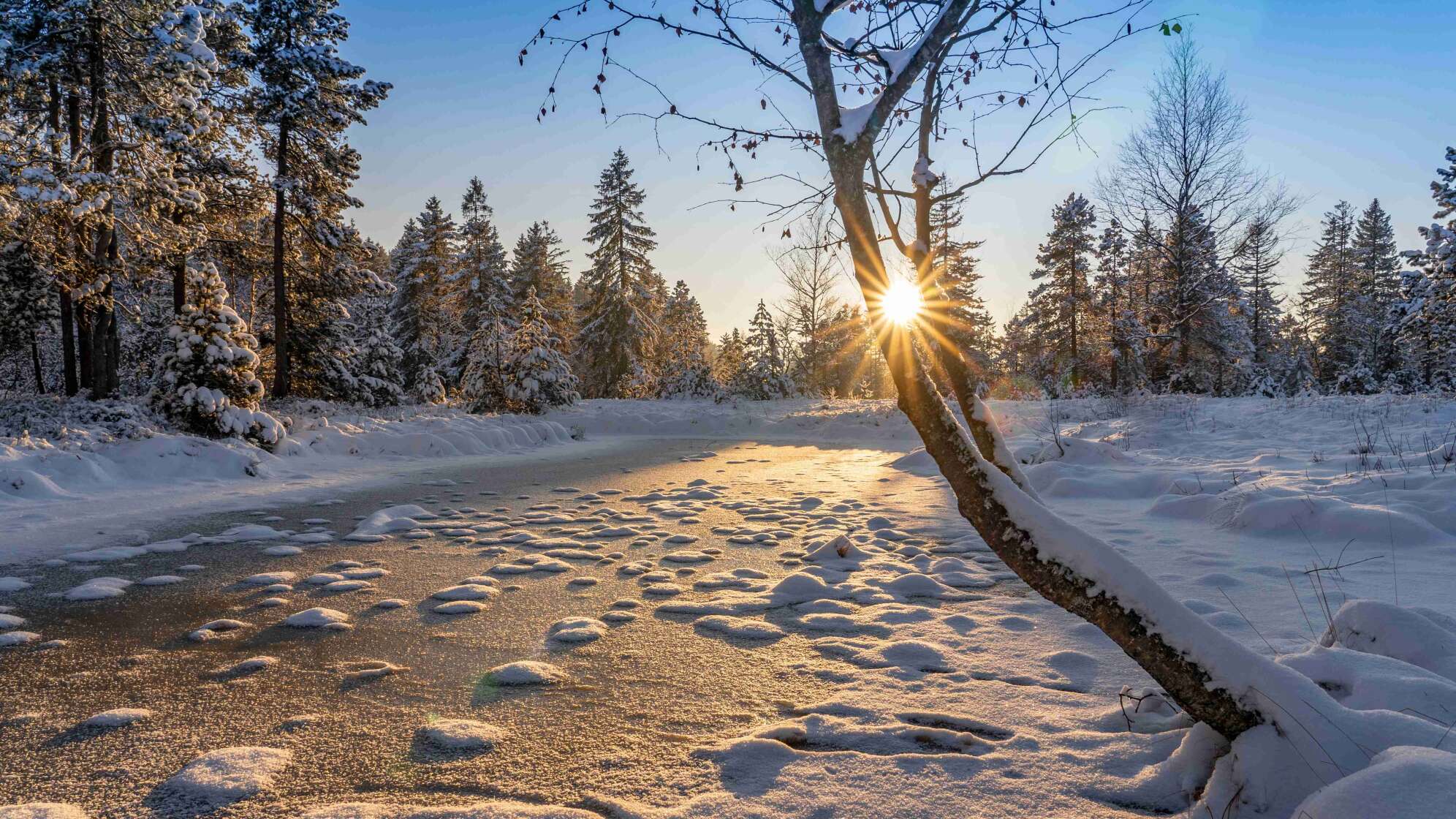 Schnee in Bayern