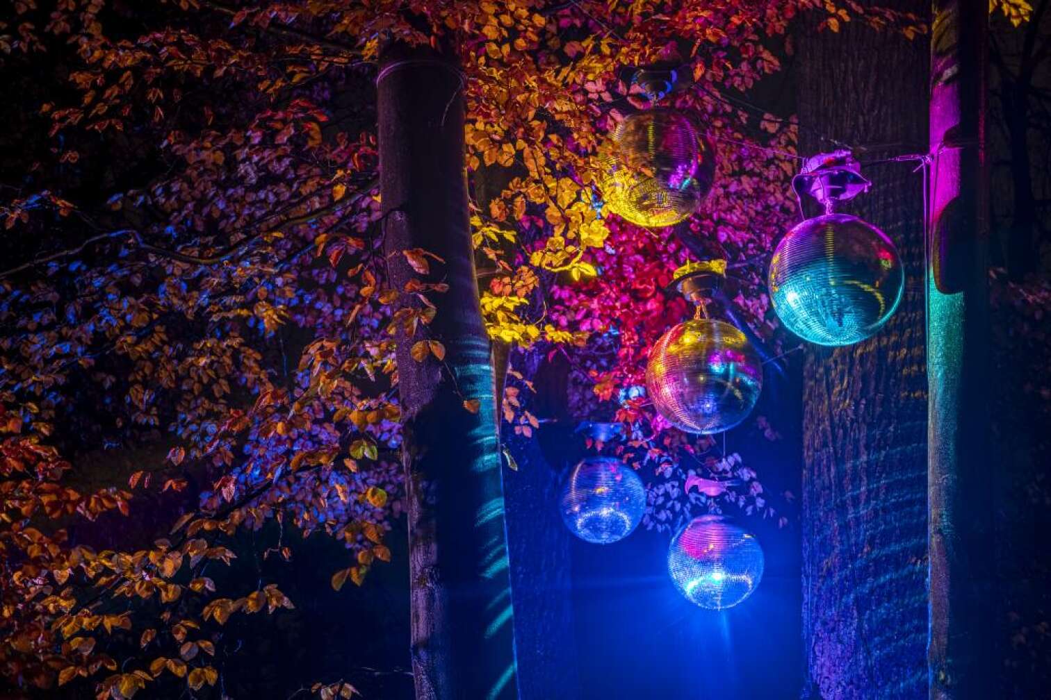 Christmas Garden