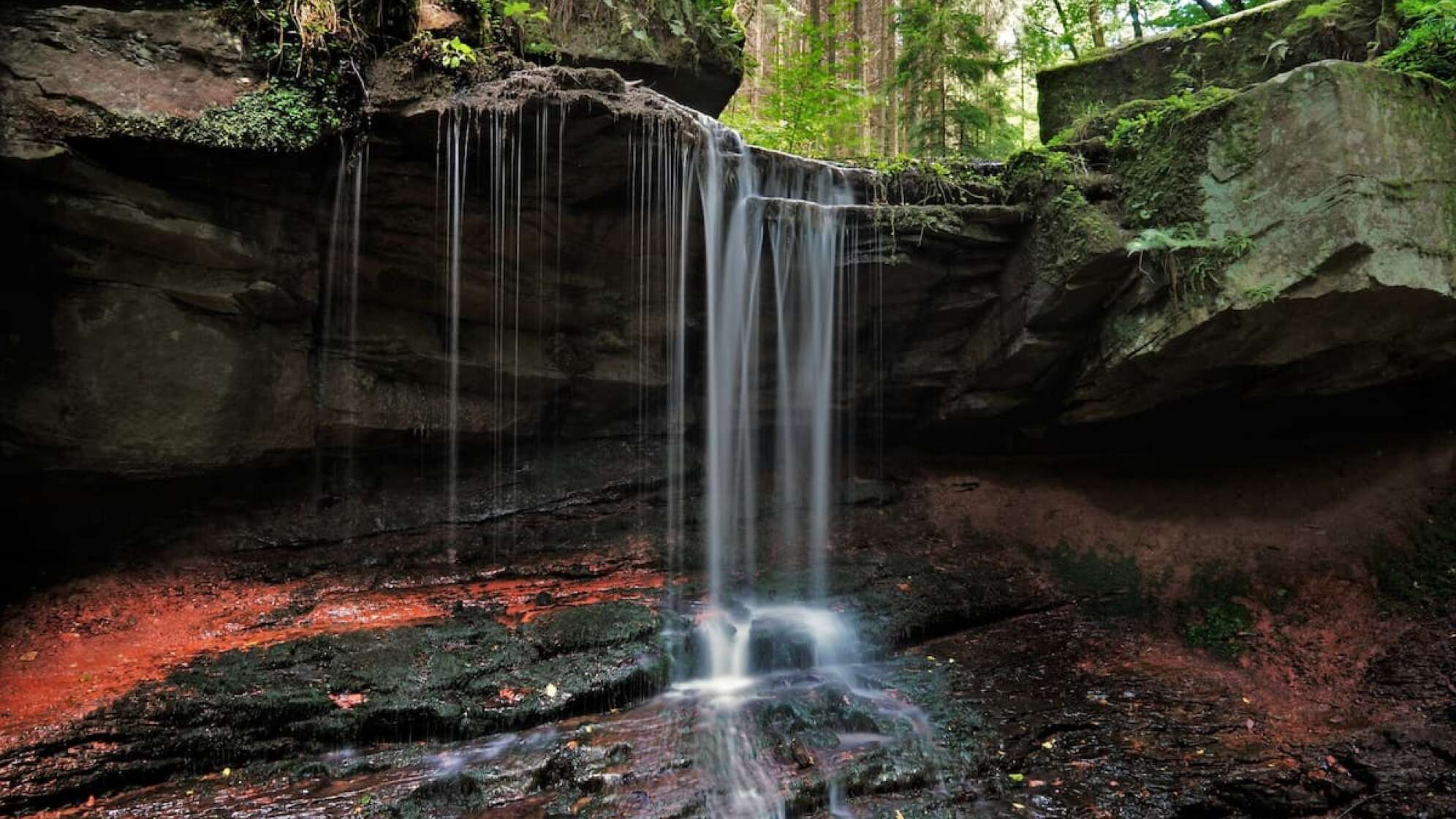 Naturpark Spessart