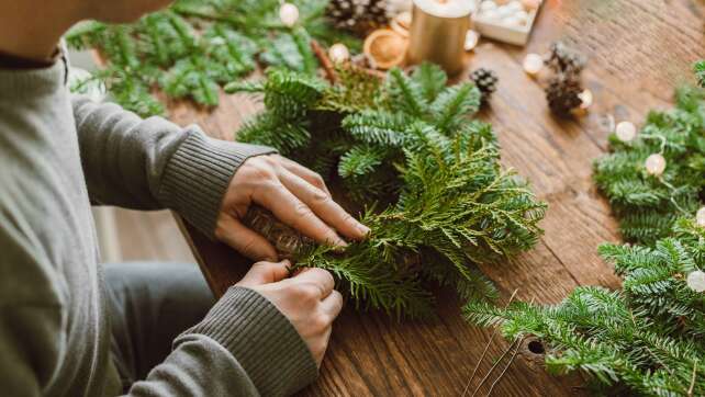 Weihnachtsdeko im Wald sammeln: Ist das erlaubt?