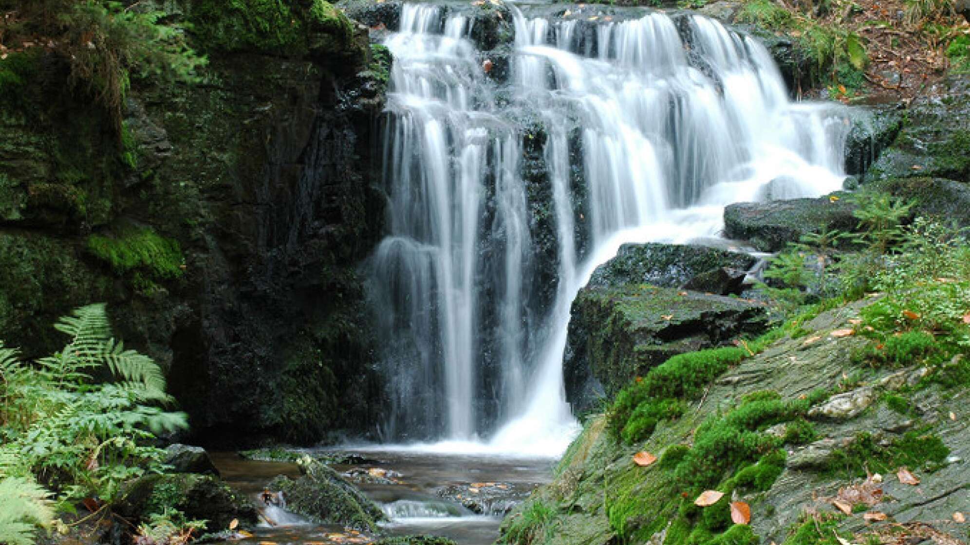 Wasserfall im Wald