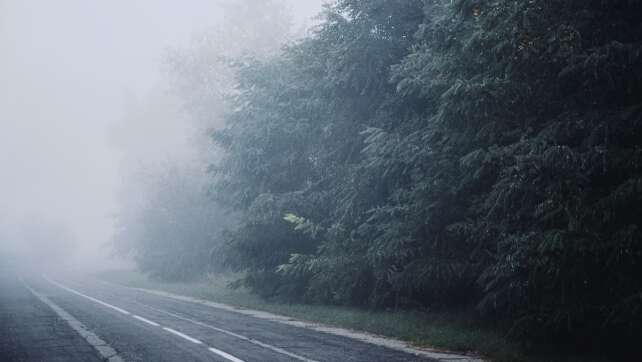 Im Nebel Auto fahren - darauf müsst ihr achten!