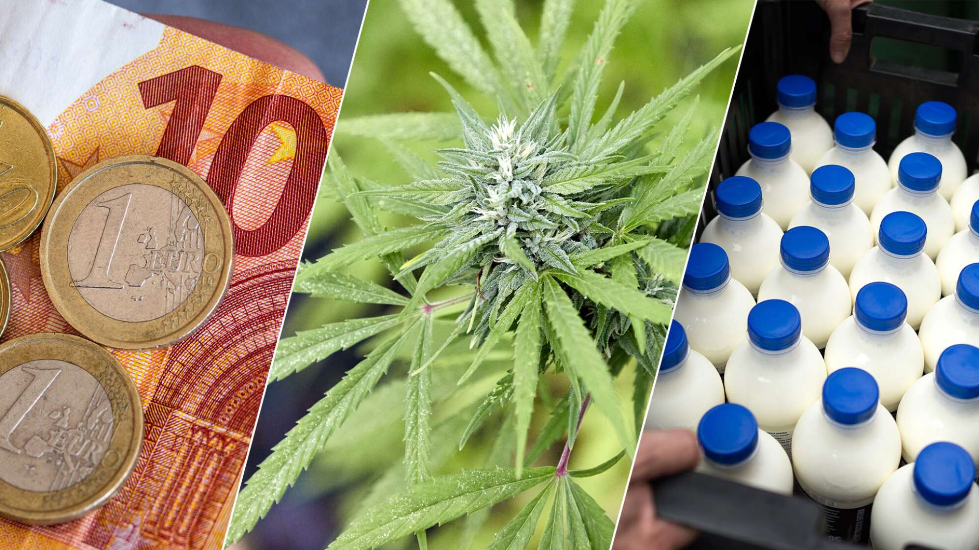 Geld, Cannabis und Milchflaschen