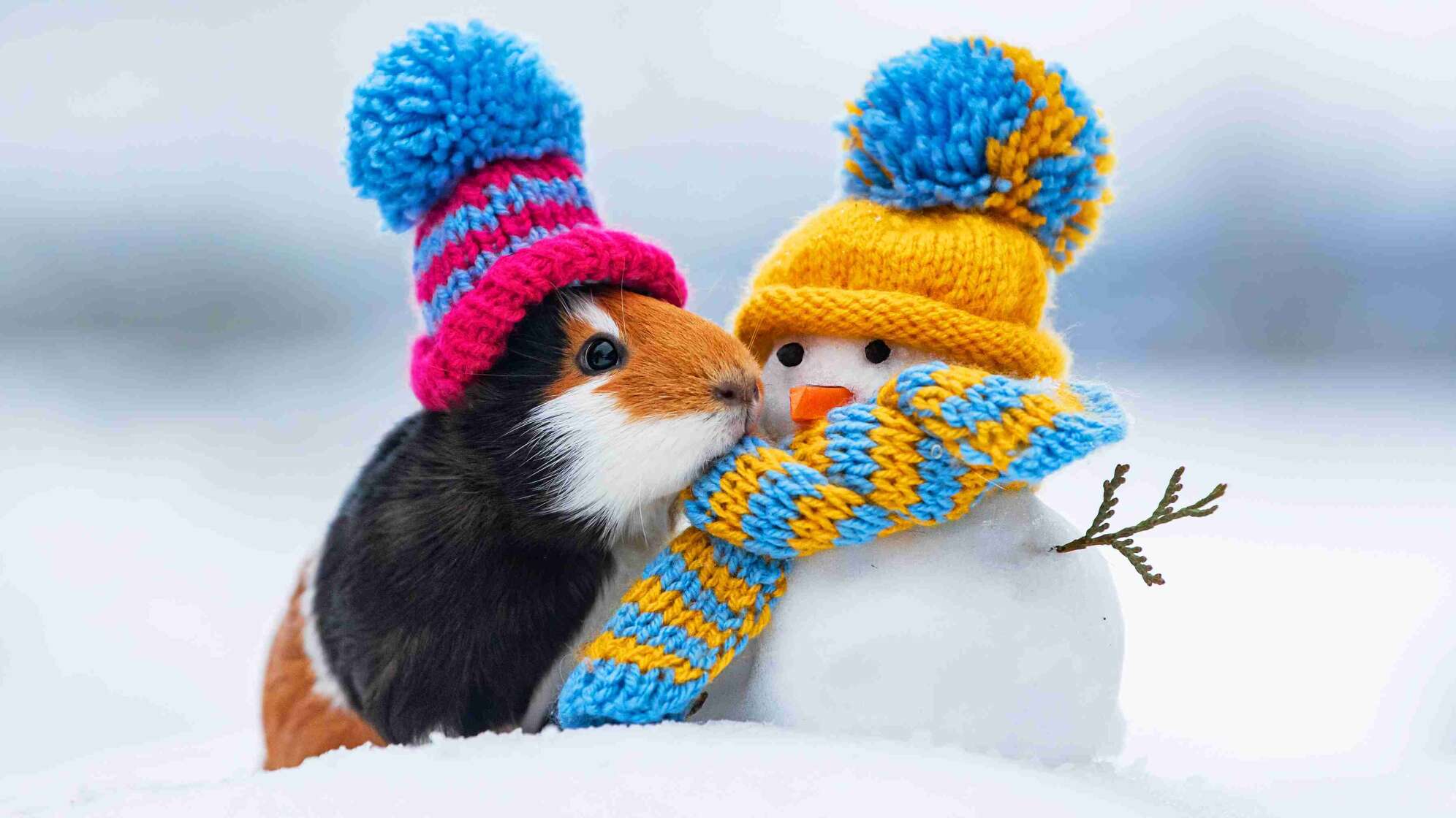 Mützen auf Hamster und Schneemann