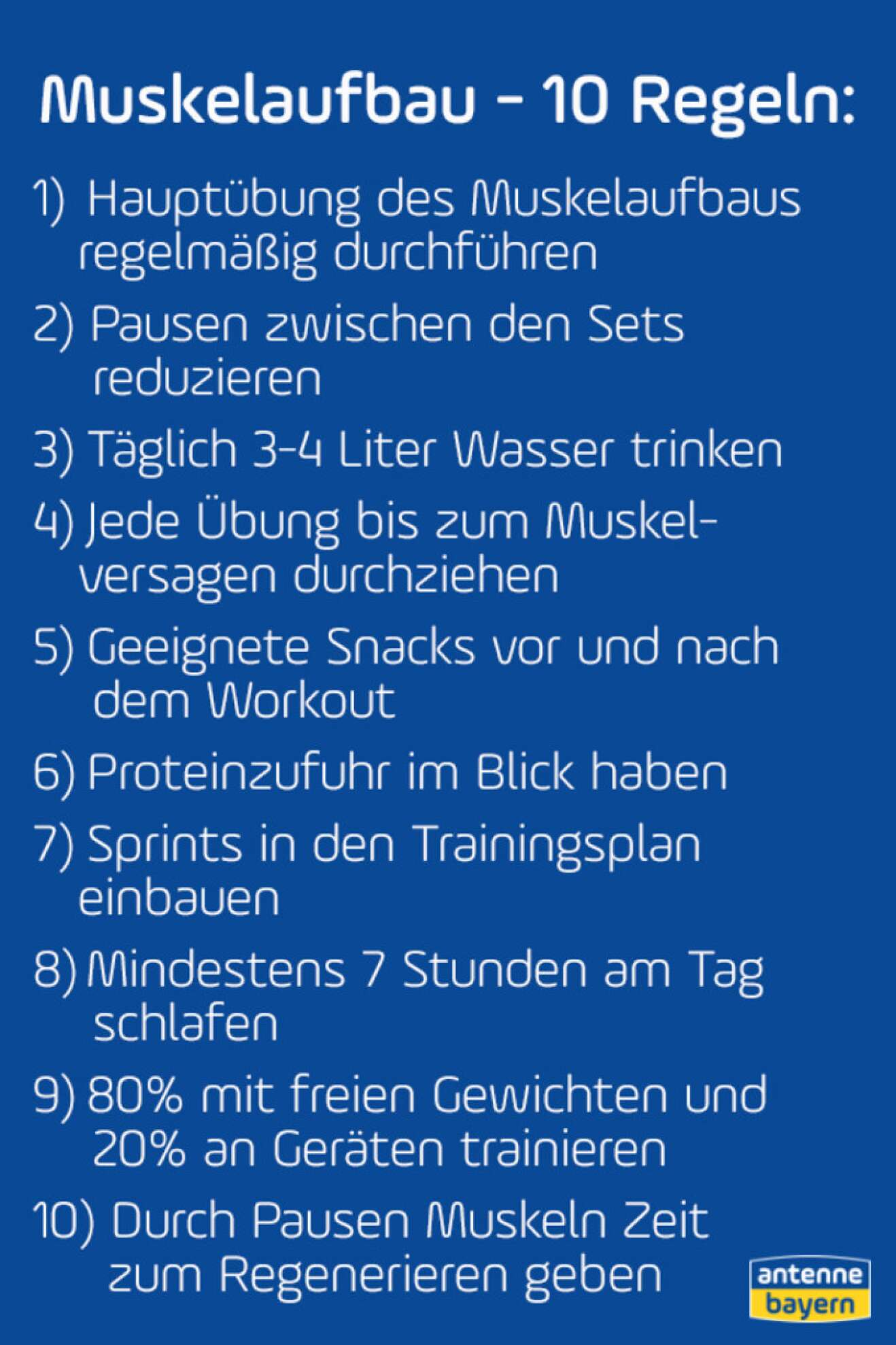 Muskelaufbau Text