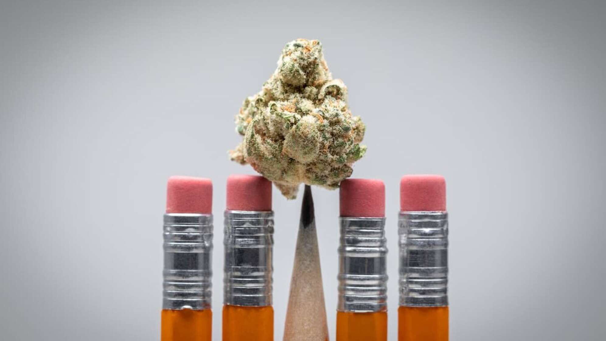 Cannabis an Schulen