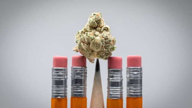 Cannabis-Legalisierung: Welche Herausforderung droht den Schulen?