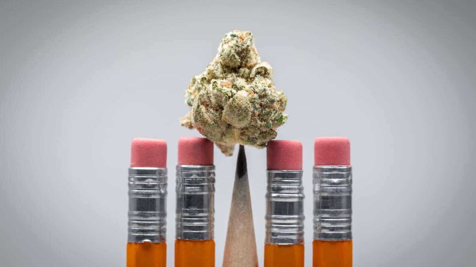 Cannabis an Schulen