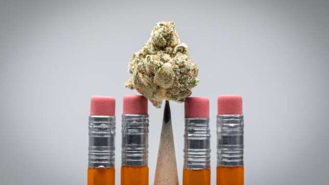 Cannabis-Legalisierung: Welche Herausforderung droht den Schulen?
