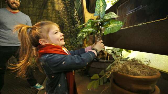 Harry Potter: Die Ausstellung