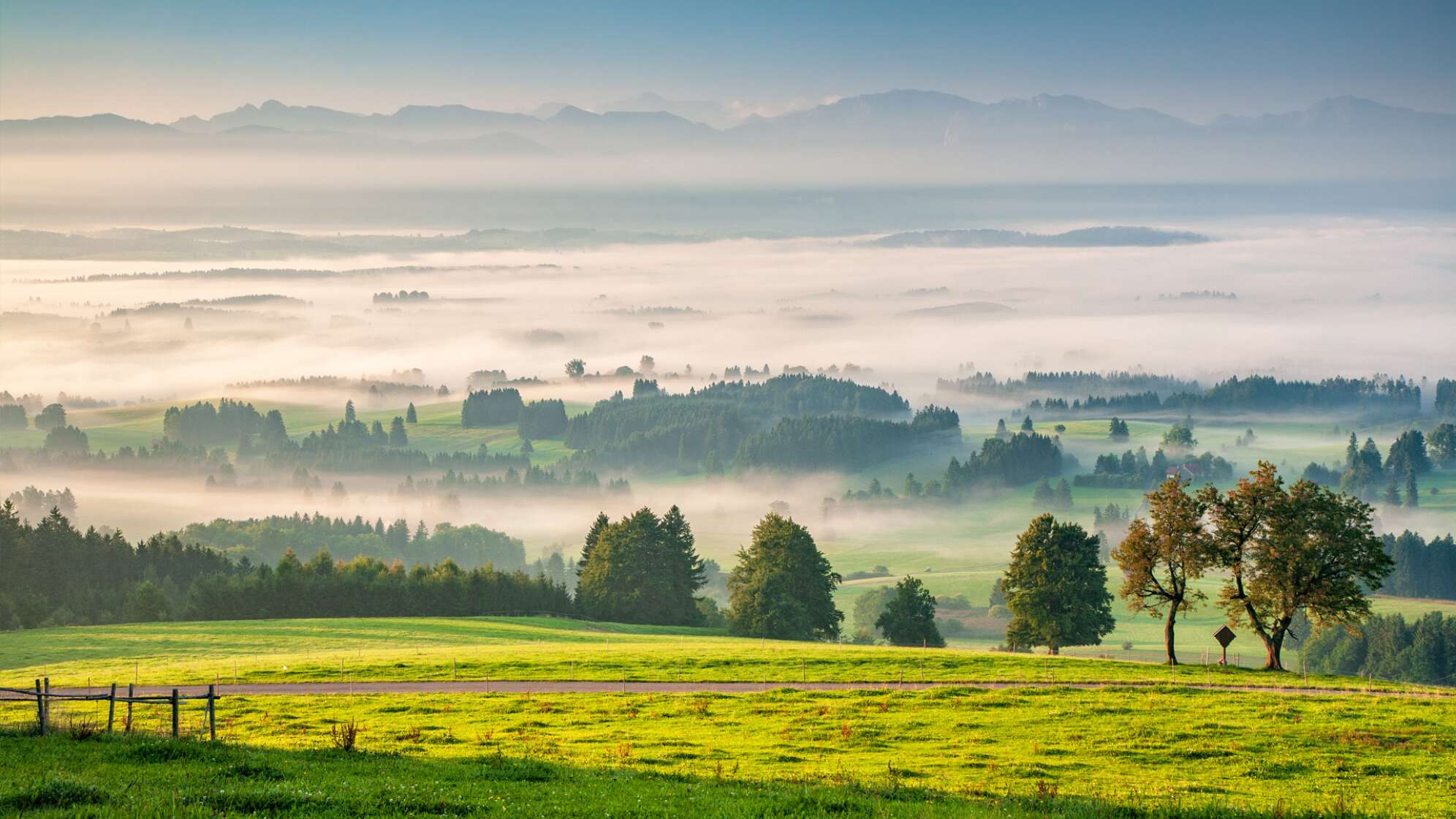 Natur