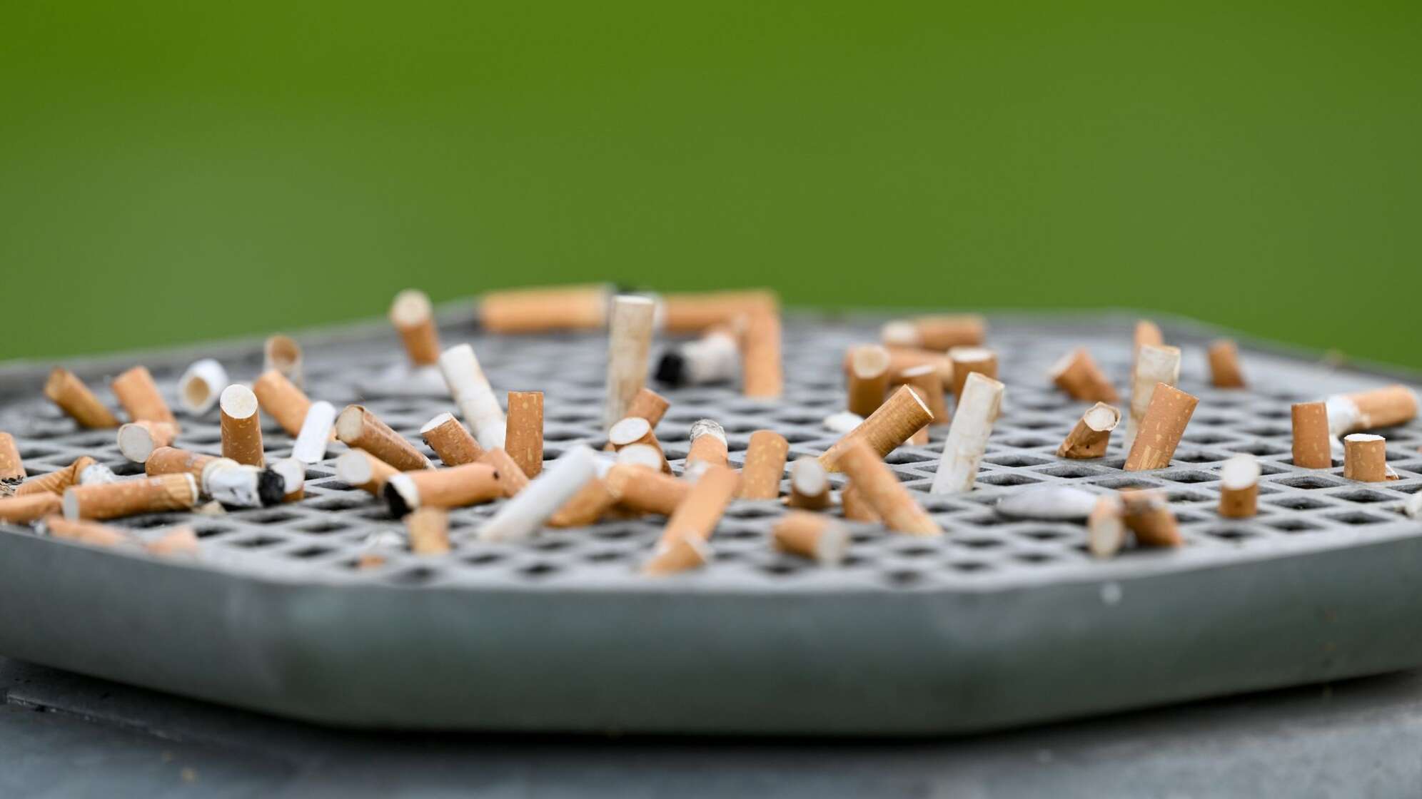 Zigarettenkippen stecken im Aschenbecher eines Mülleimers