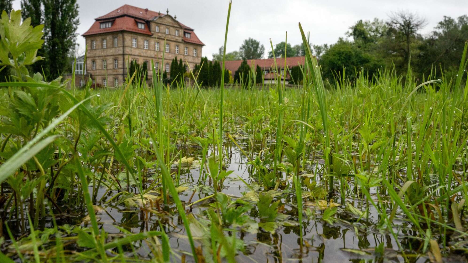 Wetter in Bayern – Viel Regen erwartet
