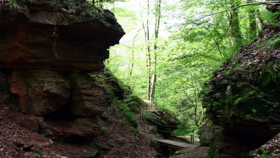 Seltenbachschlucht