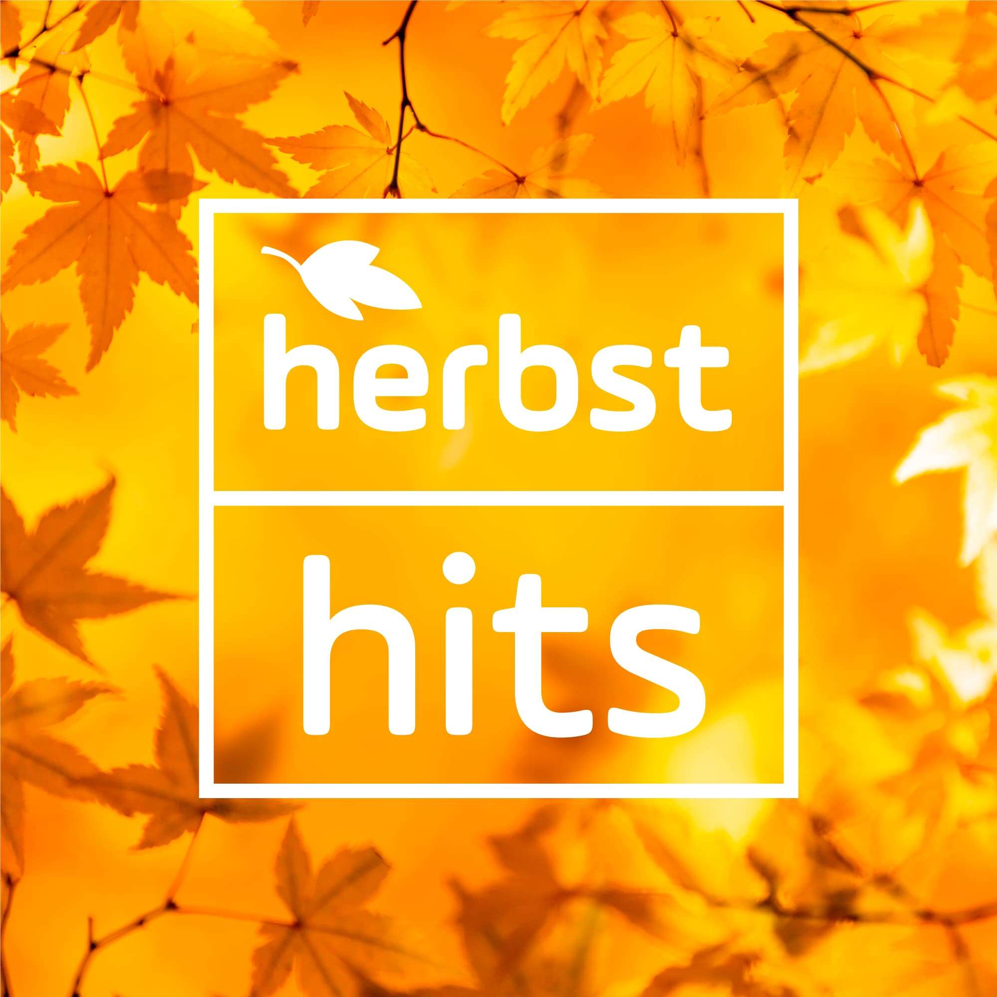 Stream-Cover Herbst Hits
