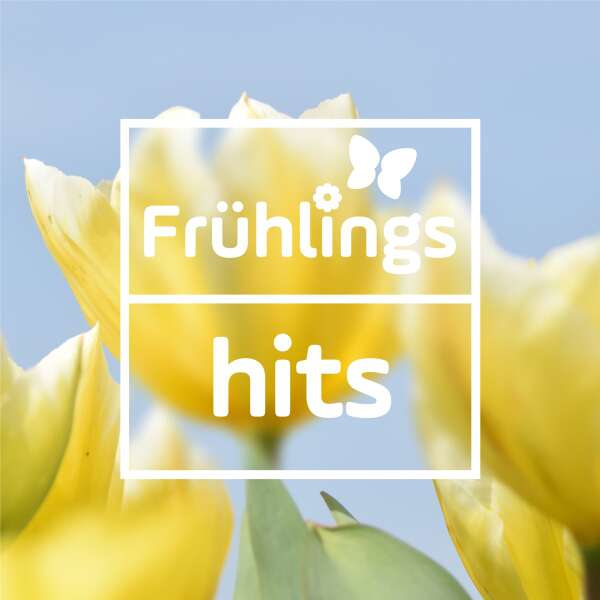 Frühlings Hits