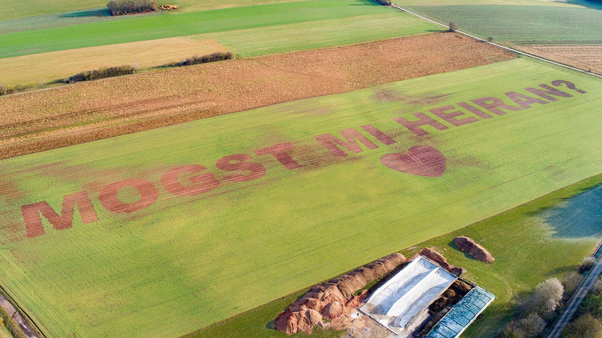 Heiratsantrag Feld