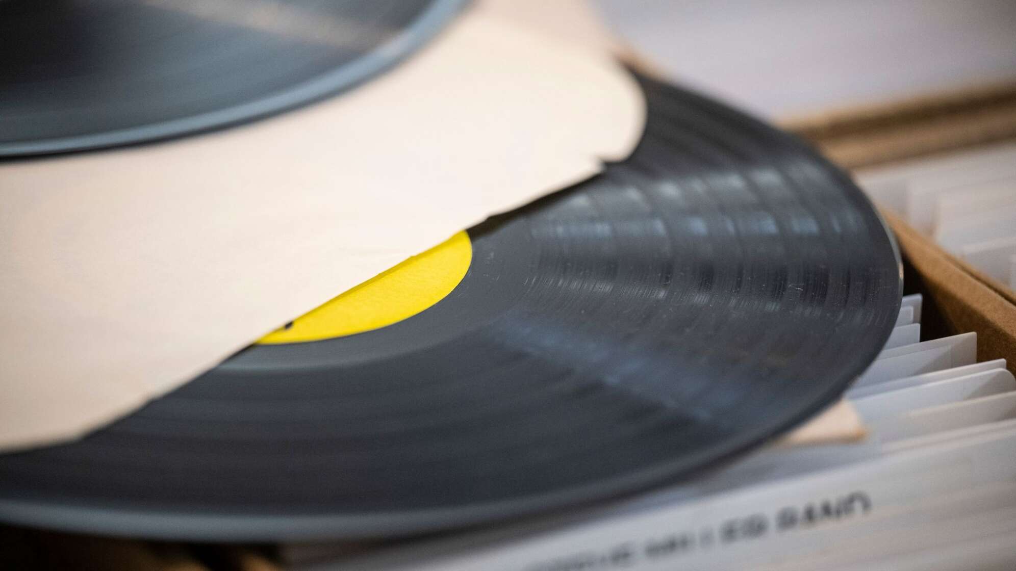 Die Vinyl-Schallplatte ist zurück