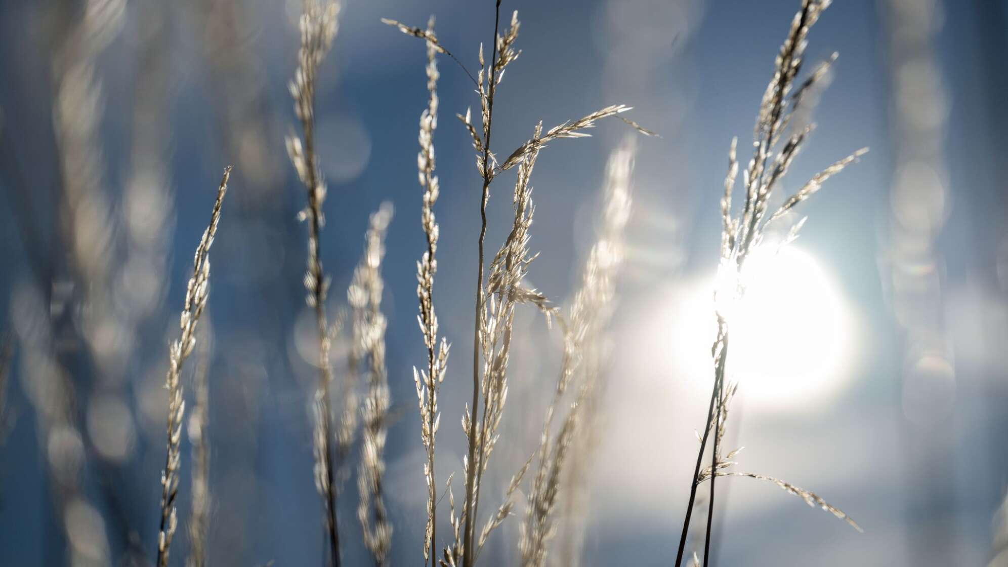 Sommer in Bayern