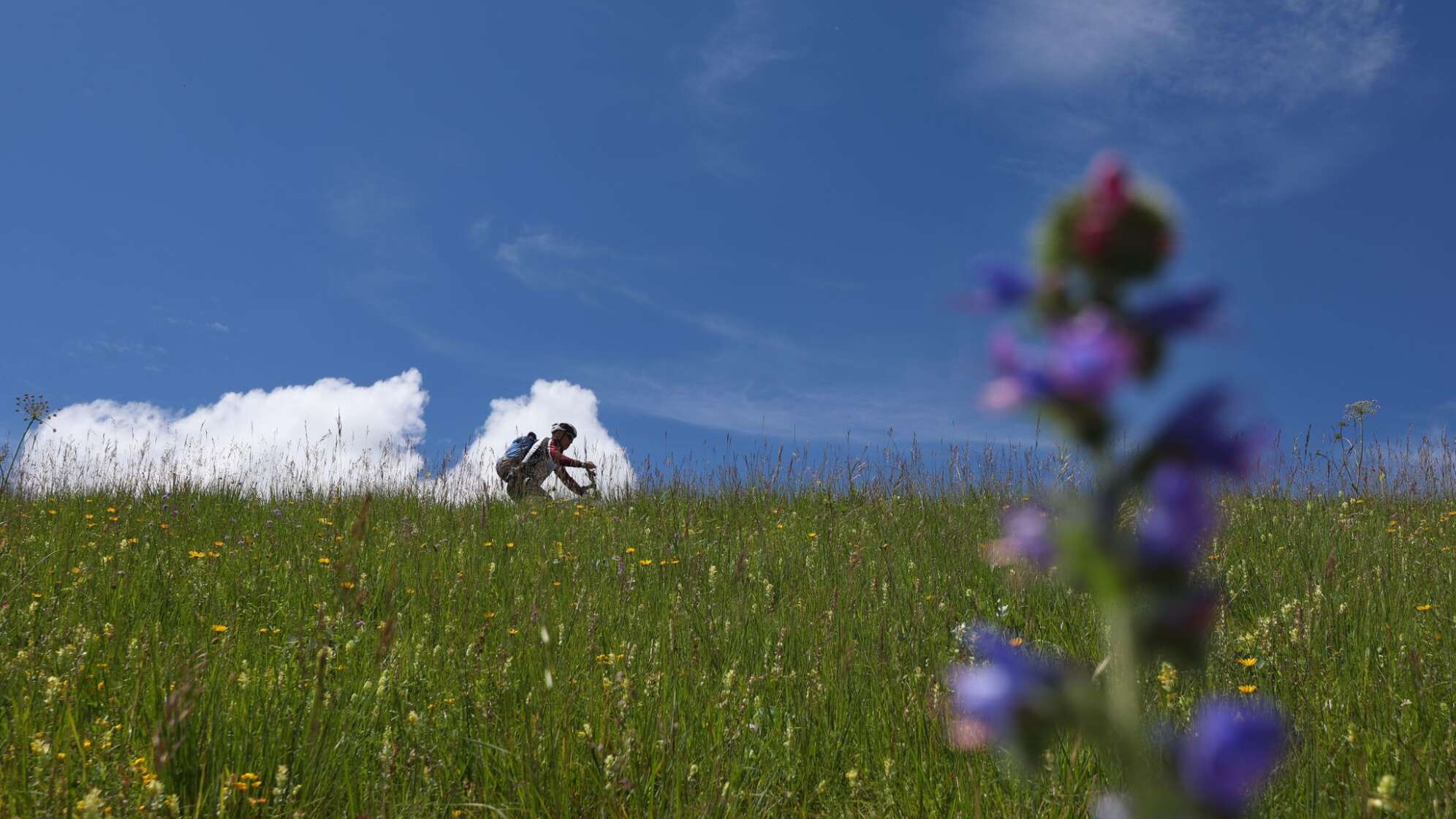 Wetter in Bayern - Sonne und Wolken im Süden