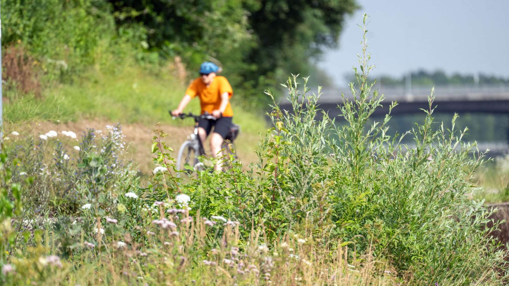 Sommer in Nordbayern
