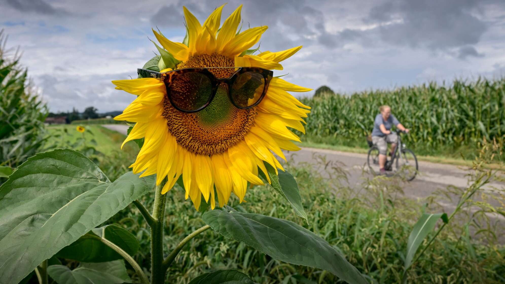 Wetter in Bayern