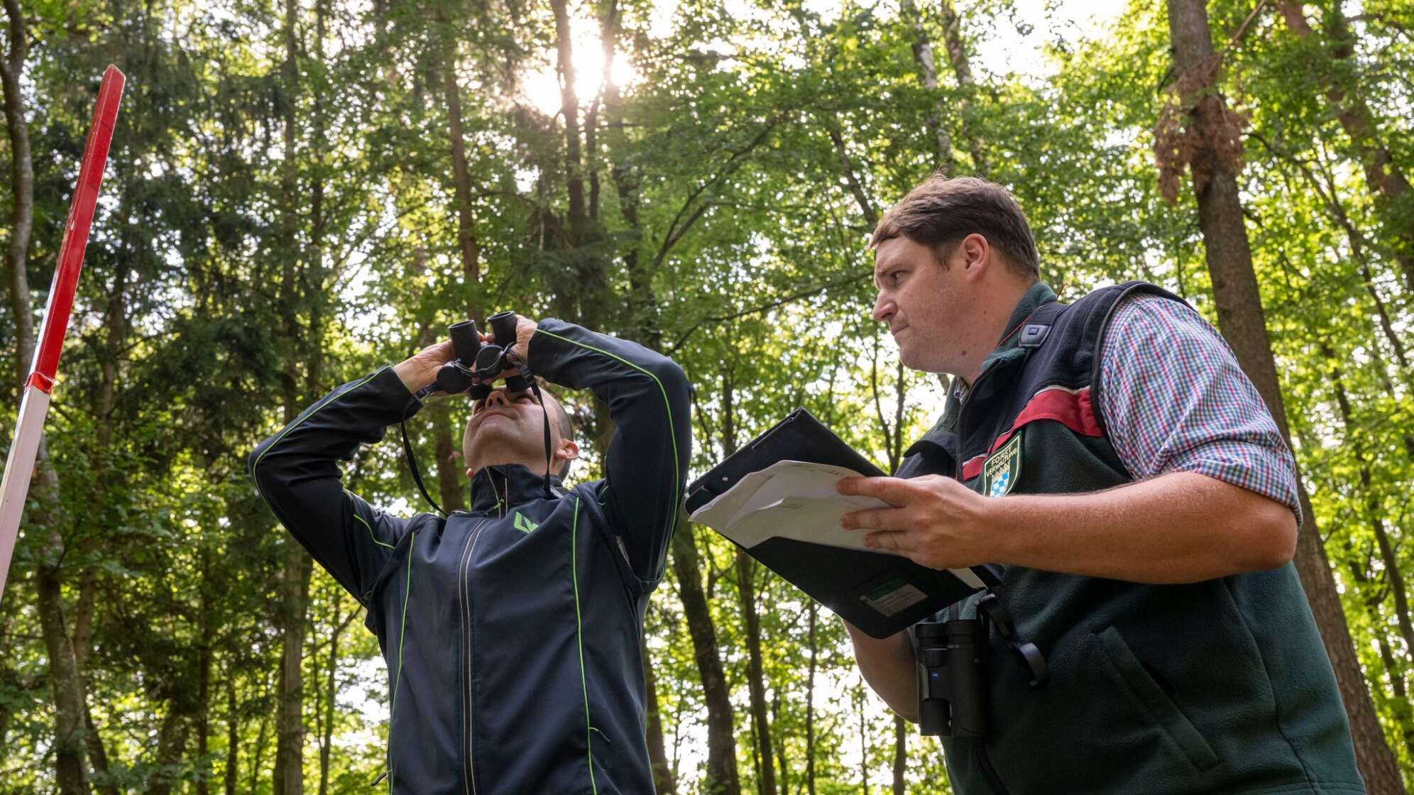 Waldzustandsbericht